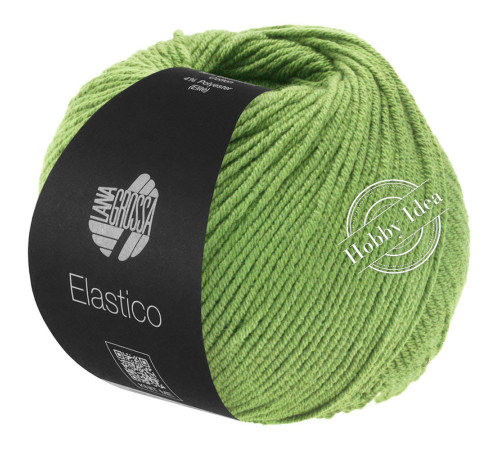 Lana Grossa Elastico 167 Киви