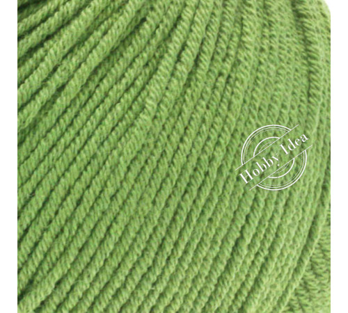 Lana Grossa Elastico 167 Киви