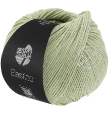 Lana Grossa Elastico 183 Бледно-зелёный