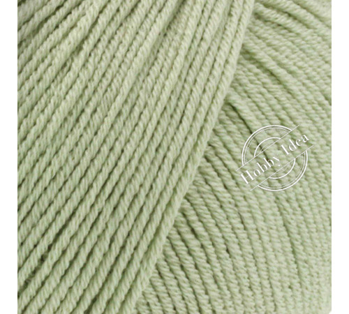 Lana Grossa Elastico 183 Бледно-зелёный