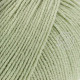Lana Grossa Elastico 183 Бледно-зелёный
