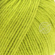 Lana Grossa Elastico 188 Спелый лайм