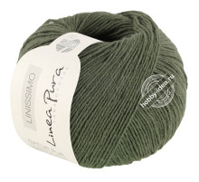 Lana Grossa Linissimo 010 Серо-зелёный