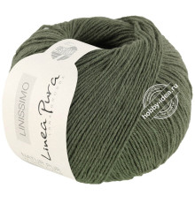Lana Grossa Linissimo 010 Серо-зелёный