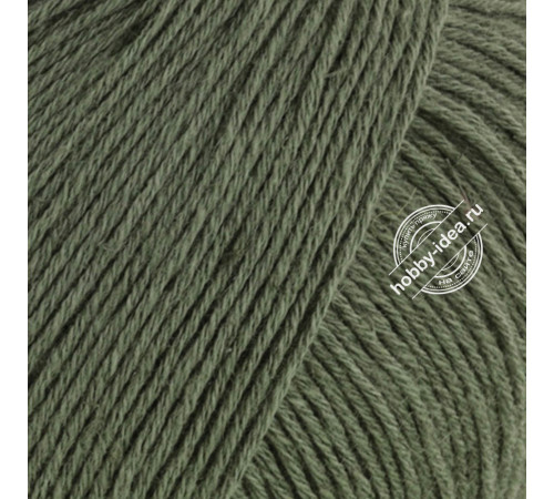 Lana Grossa Linissimo 010 Серо-зелёный