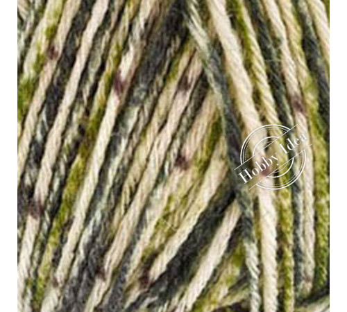 Lana Grossa Meilenweit 100 Action 2978 