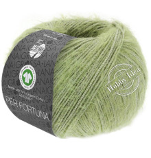 Lana Grossa Per Fortuna 43 Зелёная липа