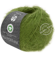 Lana Grossa Per Fortuna 58 Зелёный