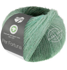 Lana Grossa Per Fortuna Degrade 102 Серо-зелёный