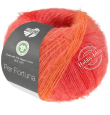 Lana Grossa Per Fortuna Degrade 106 Мандариновый