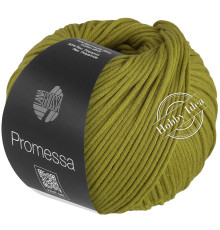 Lana Grossa Promessa 010 Фисташковый