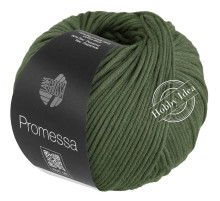 Lana Grossa Promessa 017 Свинцово-зелёный