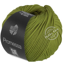 Lana Grossa Promessa 032 Авокадо