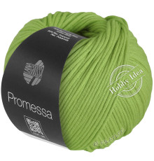 Lana Grossa Promessa 037 Зелень
